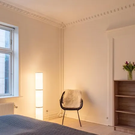 Apartment Cozy Spacious In Downtown Aarhus